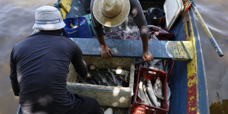 Pescadores Recebem 6º Lote do Seguro-Defeso: R$ 179,7 Milhões em Benefícios