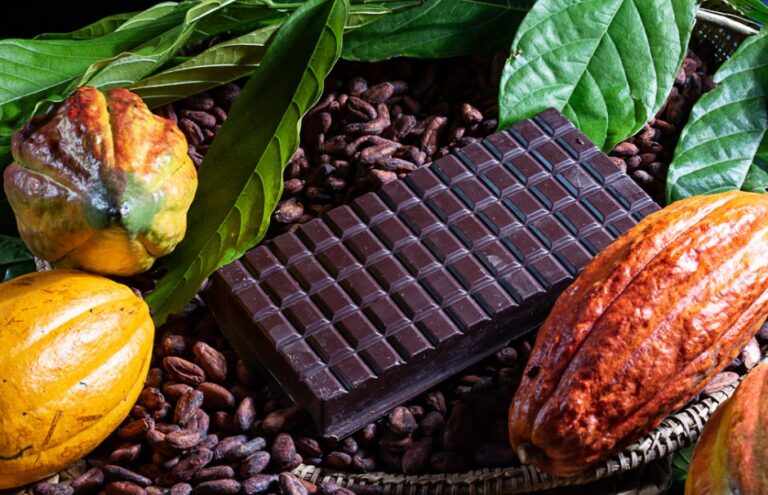 Produção de Chocolates Artesanais Aumenta no Sul da Bahia com a Chegada da Páscoa