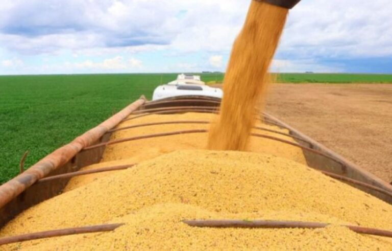 Safra de Grãos na Bahia: Expectativa de 14,4 Milhões de Toneladas em 2026 Safra de Grãos na Bahia: Expectativa de 14,4 Milhões de Toneladas em 2026