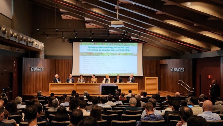 Silvicultura de Espécies Nativas: Investimento do BNDES Impulsiona Programa Inovador