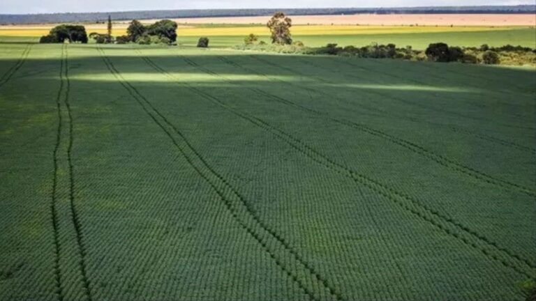 Tensão no Oriente Médio: Bahia em Alerta para o Agronegócio