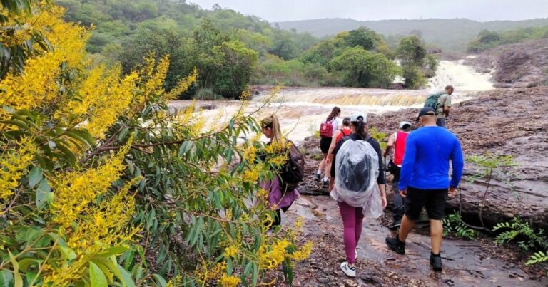 Turismo Sustentável na Bahia: Um Caminho para a Conservação e Economia