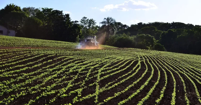 A Guerra no Irã e Seu Impacto na Produção Agrícola Brasileira: Desafios e Soluções