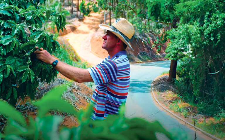Agronegócio Capixaba: Pilar da Economia no Espírito Santo