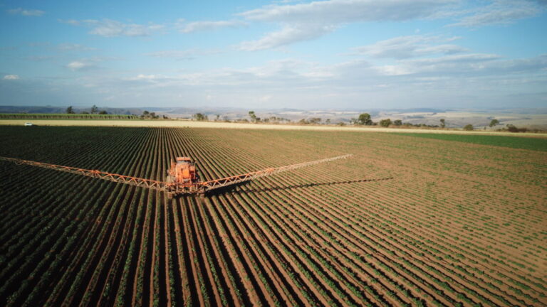 Avanço da Soja no Matopiba: Terras Tradicionais Perdem Hectares de Arroz, Feijão e Mandioca Avanço da Soja no Matopiba: Terras Tradicionais Perdem Hectares de Arroz, Feijão e Mandioca