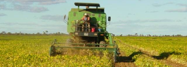 Bahia Export: O Agronegócio nas Cadeias Produtivas do Estado em Debate Bahia Export: O Agronegócio nas Cadeias Produtivas do Estado em Debate