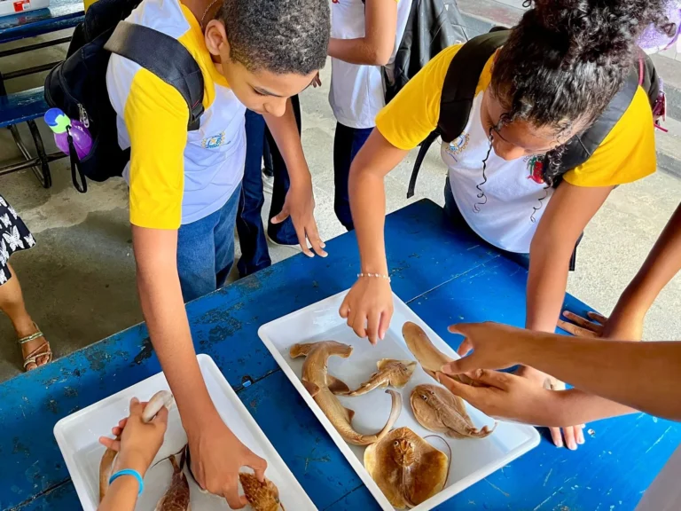 BAMIN Impulsiona Desenvolvimento Social e Cultural na Bahia