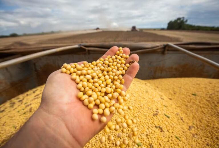 Barter: A Troca de Soja por Máquinas e Insumos no Agronegócio em Alta