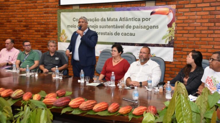 Blockchain Revoluciona Rastreio da Produção de Cacau na Bahia