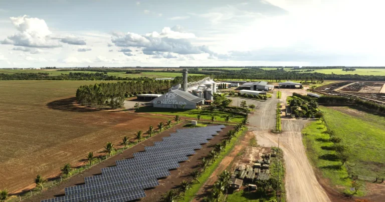 Digitalização no Agronegócio: Como a Tecnologia Aumenta a Produtividade e Reduz Custos