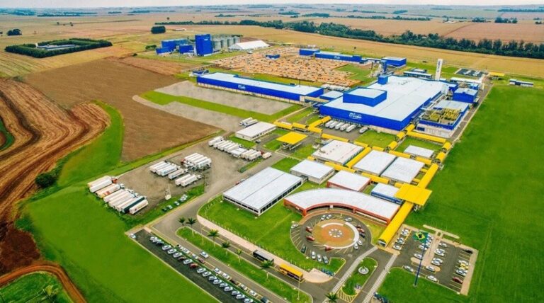 Diversificação no Agronegócio: Da Canola à Macaúba, Brasil Avança na Produção de Etanol e Biodiesel Diversificação no Agronegócio: Da Canola à Macaúba, Brasil Avança na Produção de Etanol e Biodiesel