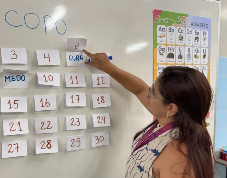 Educação no Brasil: Milhões Ainda Enfrentam o Analfabetismo e a Exclusão Social