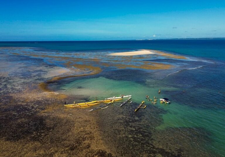 Expedição Encantos do Sul da Bahia: Uma Viagem Transformadora pela Natureza