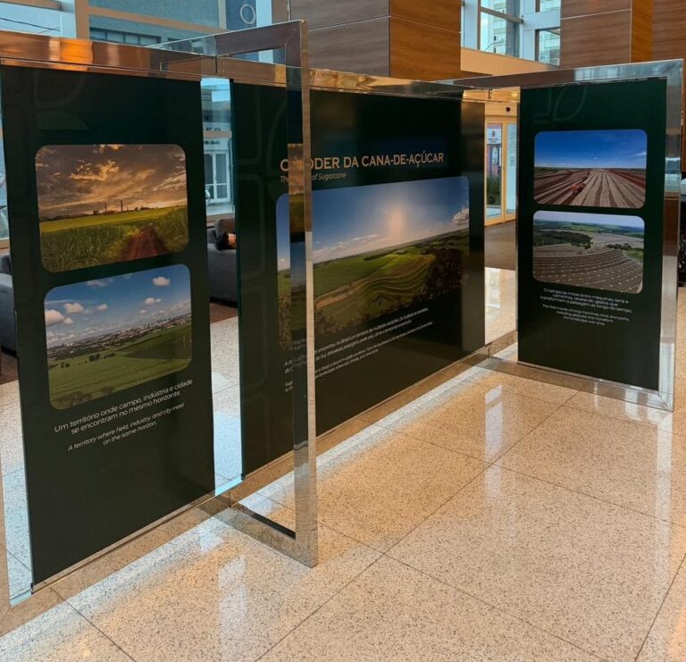 Exposição 'Brasil – O Poder da Cana-de-Açúcar' Destaca a Importância do Agronegócio em Ribeirão Pret