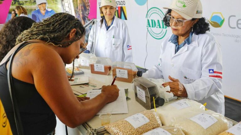 Feriadão Agropecuário: Eventos Tradicionais Agitam o Interior da Bahia