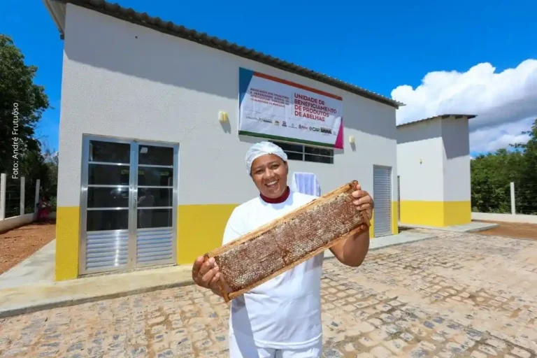 Governo da Bahia Inaugura Unidade de Mel e Classificadora de Ovos para Fortalecer Agricultura Famili