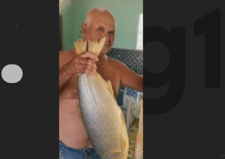 Idoso de 66 anos perde a vida após ataque de abelhas enquanto dirigia trator na Bahia