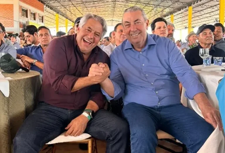 Vice de Daniel Vilela: Desafios e Votações no Cenário Político Atual