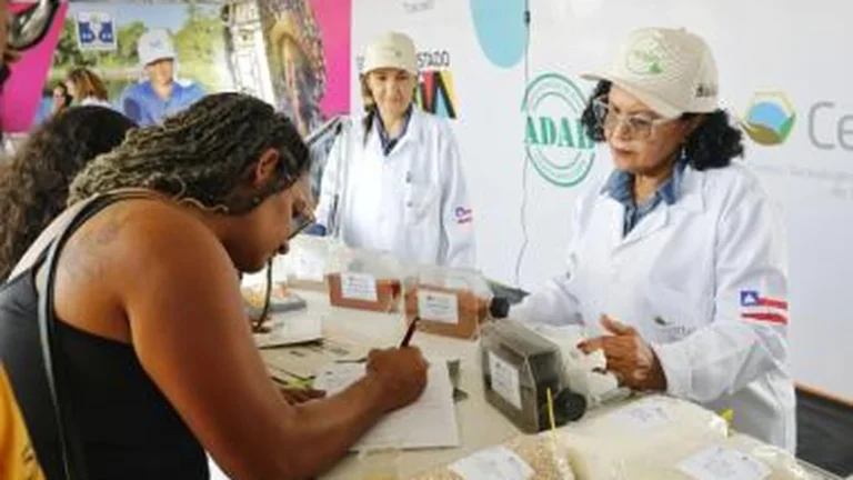 Feiras Agropecuárias Impulsionam Economia do Interior da Bahia Neste Fim de Semana Feiras Agropecuárias Impulsionam Economia do Interior da Bahia Neste Fim de Semana