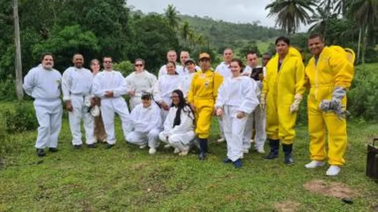 ADAB capacita 30 profissionais em apicultura e manejo sanitário na Bahia