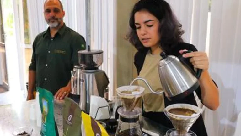SDE celebra o Dia Nacional do Café com sabores e histórias da Bahia SDE celebra o Dia Nacional do Café com sabores e histórias da Bahia