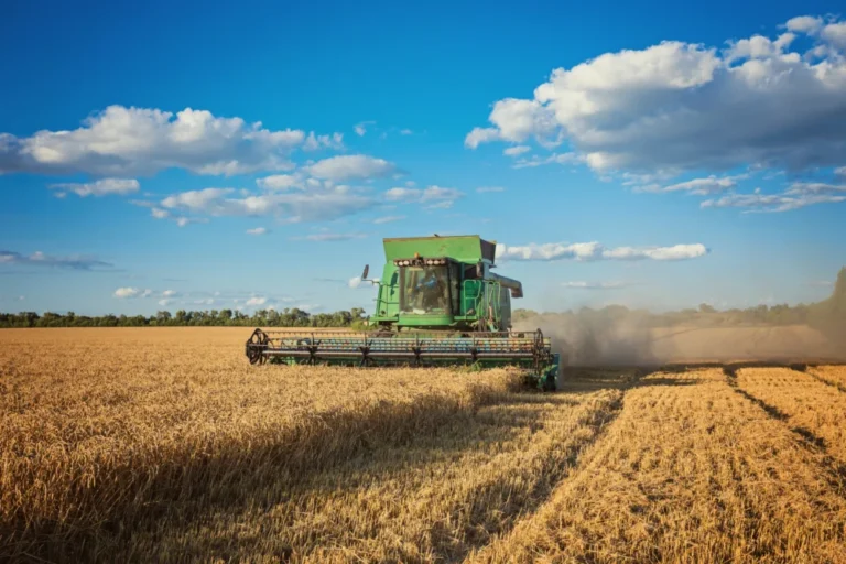 Agronegócio Brasileiro Registra Recorde de 601 Novos Mercados Internacionais