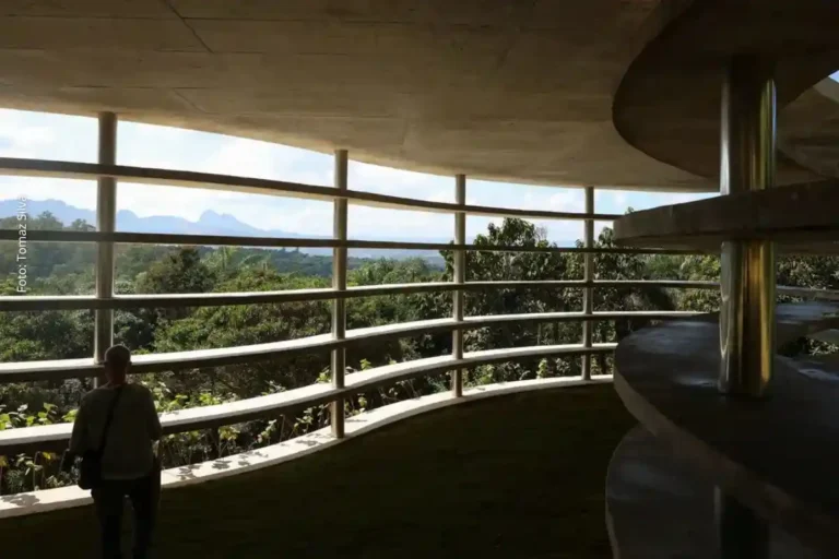 Inhotim Comemora 20 Anos com Novas Obras de Arte e Integração Cultural