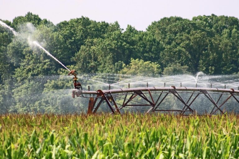 Irrigação: Uma Estrategista Para Aumento de Produtividade e Empregos no Brasil