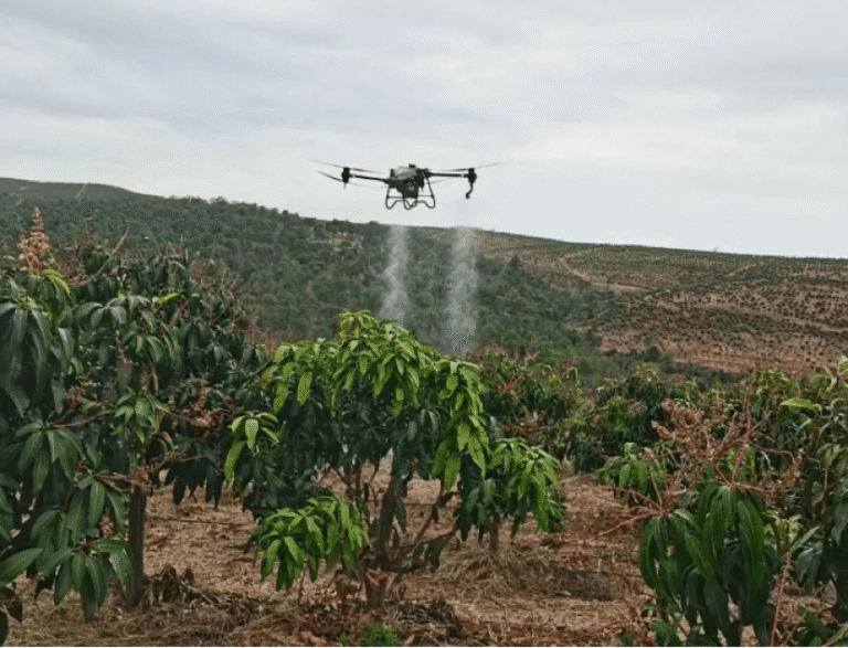 Juazeiro: Drones Agrícolas em Foco no SINDAG Drone Tech na Bahia