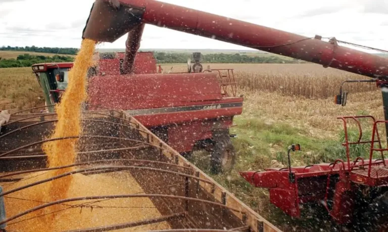 Recuperação do Agronegócio: Uma Nova Era para o Crédito Rural