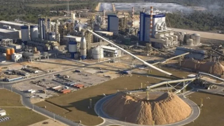 Suzano abre 6 vagas de emprego no extremo sul da Bahia com oportunidades para técnicos e graduados