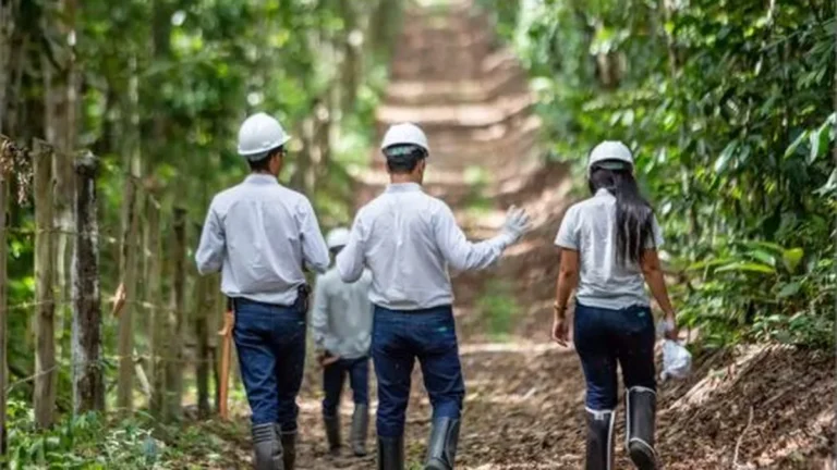 Veracel movimenta R$ 409 milhões e preserva 100 mil hectares de Mata Atlântica em 2025 Veracel movimenta R$ 409 milhões e preserva 100 mil hectares de Mata Atlântica em 2025