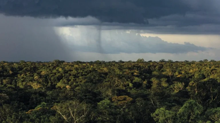 Mudanças Climáticas Aumentam Sensibilidade do Regime de Chuvas ao Desmatamento na Amazônia Mudanças Climáticas Aumentam Sensibilidade do Regime de Chuvas ao Desmatamento na Amazônia