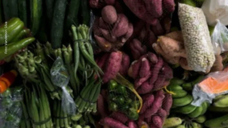 Salvador Recebe 5º Encontro Nacional de Pesquisas em Gastronomias Focando Cultura e Saberes Tradicionais Salvador Recebe 5º Encontro Nacional de Pesquisas em Gastronomias Focando Cultura e Saberes Tradicio