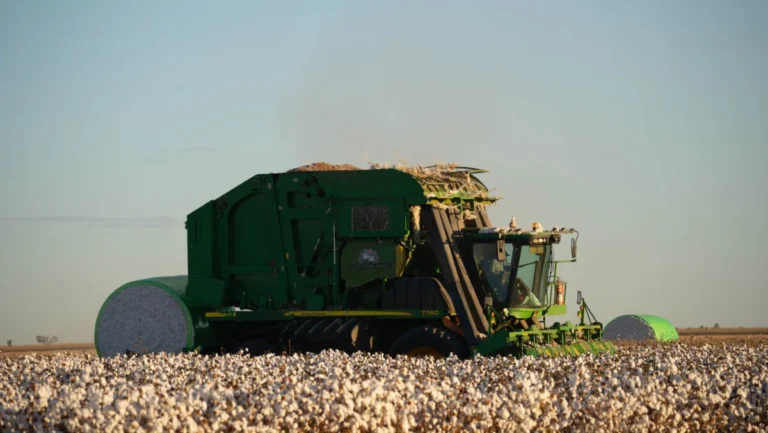 Luís Eduardo Magalhães: A 5ª Maior Economia da Bahia Movida pelo Agronegócio