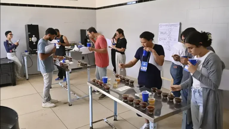 Curso Inédito na Bahia Capacita Produtores para Certificação Internacional e Impulsiona Cafés Especi