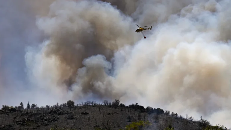Incêndios Devastam Mais de 17 Mil Hectares na Europa Durante Onda de Calor Extrema Incêndios Devastam Mais de 17 Mil Hectares na Europa Durante Onda de Calor Extrema