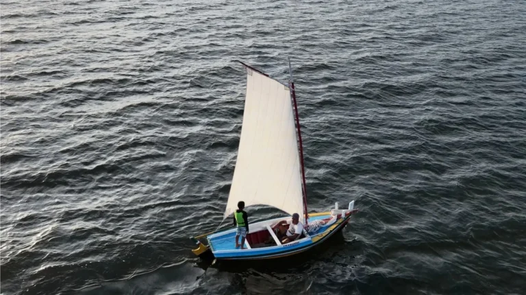 Curso gratuito de arquitetura naval tradicional na Bahia oferece 50 vagas com bolsa de R$ 600 Curso gratuito de arquitetura naval tradicional na Bahia oferece 50 vagas com bolsa de R$ 600