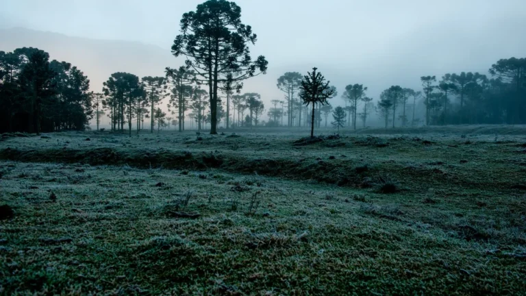 Mais frio e chuva acima da média: como será o clima no Brasil em julho 2026 Mais frio e chuva acima da média: como será o clima no Brasil em julho 2026